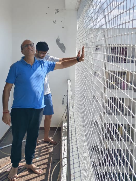 Safety nets 2